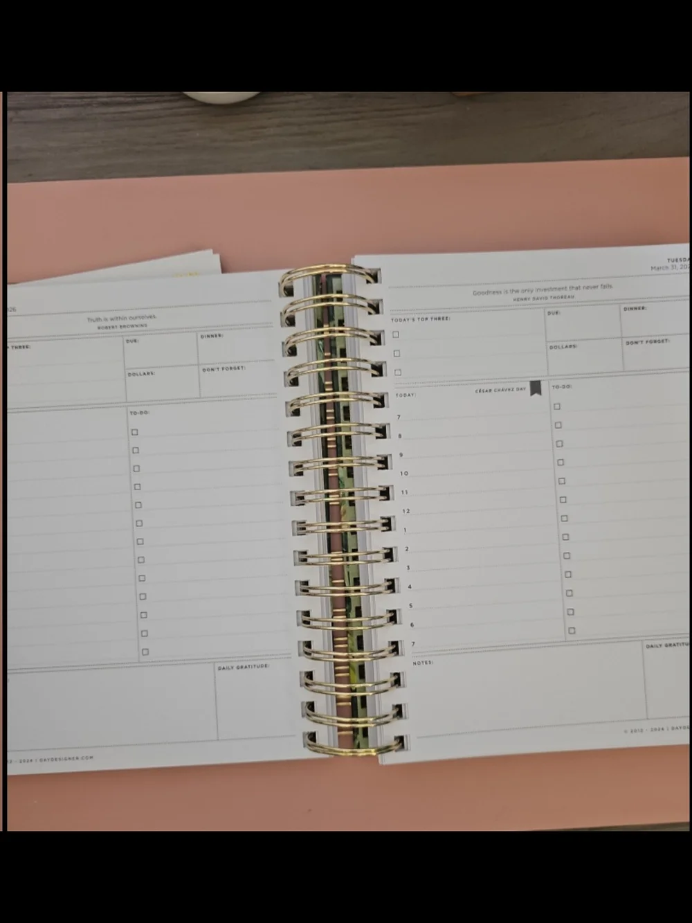 NIB Day Designer Planner